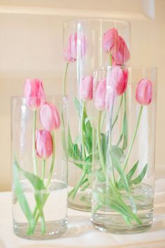 pink tulips in glass vases on a table