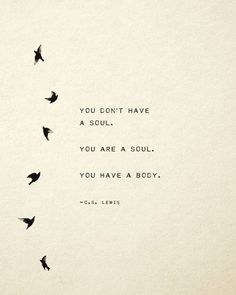 birds flying in the air with a quote written on it that says you don't have a soul, you are a soul, you have a body