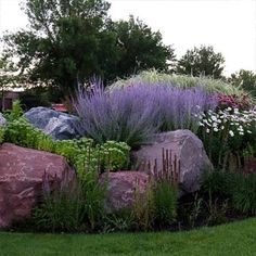 a garden with rocks and flowers in it