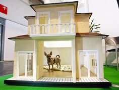 a small dog is standing in the doorway of a doll house that's on display