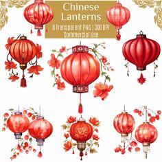 chinese lanterns with flowers and leaves