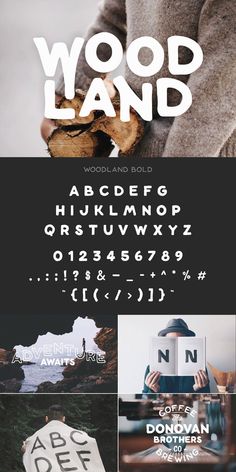 the wood land font and numbers are displayed in different styles, colors, and shapes