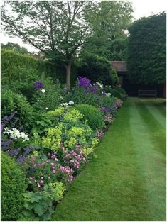 a lush green lawn with purple and white flowers