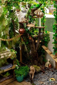 a cat sitting on top of a tree in a room filled with lots of plants