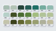 an image of the color scheme for paint swatches in shades of green, blue and white