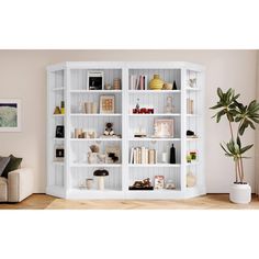 a white bookcase filled with lots of books next to a couch and potted plant