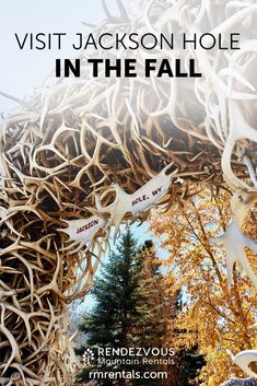 the words visit jackson hole in the fall are above an image of antelope