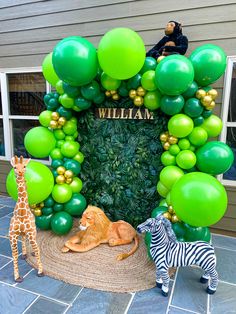 a couple of giraffes standing next to each other in front of a balloon arch