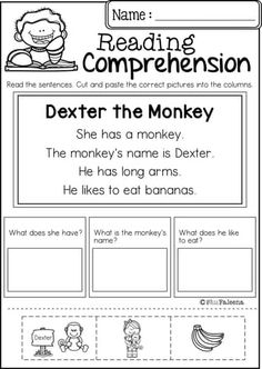 worksheet for reading the monkey and other words to help students learn how to read