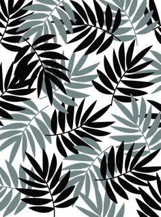 black and white leaves on a white background