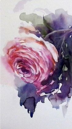 a watercolor painting of a pink rose on a white background with purple and red colors