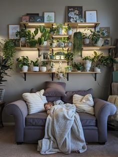 #Plantwall #cozyroom #growlights #plants #houseplants #stringofpearls #hoya #indoorplants #plantroom #anniequigleyart Apartment With Plants Living Rooms, Plant Decor Shelves, Plant Shelving With Grow Lights, Bedroom House Plants Inspiration, Plant And Light Decor, Plant Decor With Lights, Succulents On Shelves, High Ceiling Living Room Plants, Plant Wall With Pictures