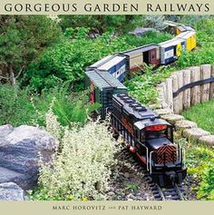 a book cover with an image of a train going down the tracks and trees in the background