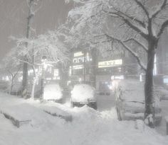 cars are parked in the snow on a city street