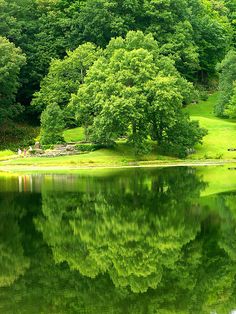 a lake surrounded by lush green trees in the middle of a forest