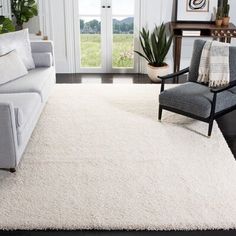 a living room with a white rug on the floor