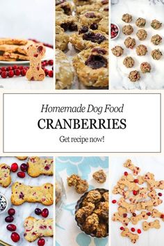 homemade dog food cranberries and cookies are on the table with text overlay that reads homemade dog food cranberries get recipe now