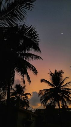 the sun is setting behind some palm trees