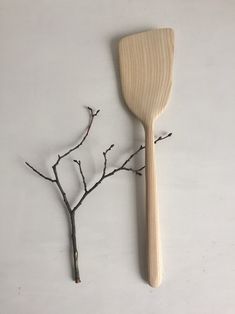 a wooden spatula sitting next to a twig on a white surface with no leaves