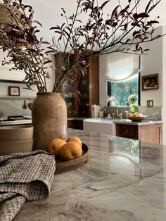 a vase filled with flowers sitting on top of a counter next to two oranges