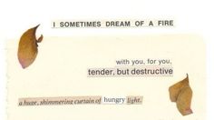 a piece of paper with some type of writing on it that says, i sometimes dream of a fire with you, for you, tender, but destructiveive