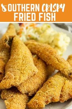 fried fish on a plate with coleslaw and mashed potatoes in the background