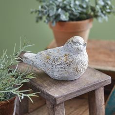 a white bird sitting on top of a wooden bench next to a potted plant