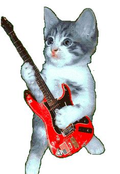 a kitten playing with a red electric guitar