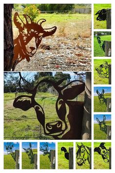 several pictures of various animals and trees in the grass, with one animal's head cut out