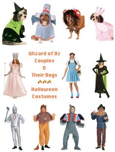 wizard costumes for dogs and cats are featured in this image with caption that reads wizard of oz couples & their dogs halloween costumes