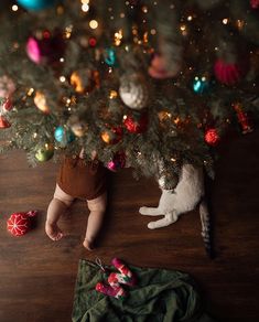 a cat laying on top of a wooden floor next to a christmas tree with ornaments