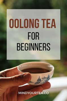 Oolong Tea for Beginners Tea For Beginners, Oolong Tea Recipe, Oolong Tea Benefits, Tea Guide, Taiwanese Tea, Milk Tea Recipes, Tea Health, Tea Varieties, Tea Health Benefits