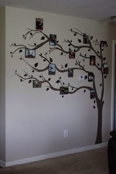 a family tree with pictures hanging on it's branches in the corner of a room