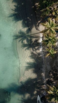 an aerial view of the beach and palm trees