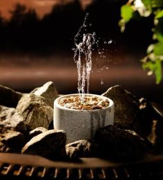 a bowl filled with water sitting on top of rocks