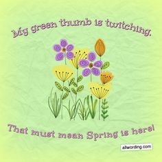 Flower Puns, End Of Winter, Easter Wishes, Spring Fever, First Day Of Spring