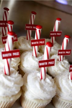 cupcakes decorated with red and white striped candy canes for north pole day