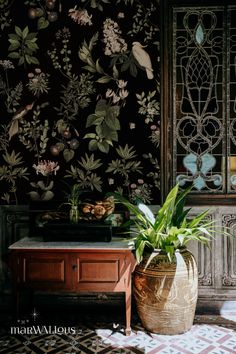 a potted plant sitting on top of a wooden table next to a wall paper