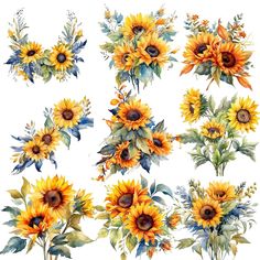 a bunch of sunflowers that are painted in watercolor