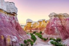 colorful rocks and plants in the desert at sunset or dawn with pink hues on them