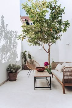 an outdoor patio with wicker furniture and potted trees