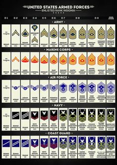 United States Armed Forces Enlisted Rank Insignia Poster by Zapista OU in 2022 | Military ranks, United states armed forces, Military insignia Navy Ranks, Military Alphabet, Military Humor, Military Life, Us Military, Tallinn