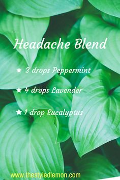 Diffuser Blend For Migraine, Headache Roller Blend, Headache Essential Oil Blend, Diffuser Oils, Eucalyptus Lavender, Essential Oils For Headaches