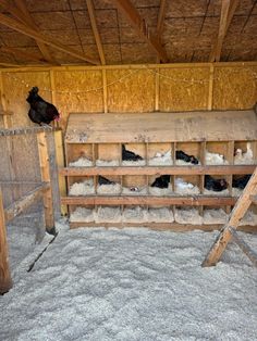 chickens are in their cages inside the barn