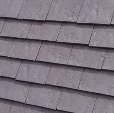 a bird is perched on the roof of a house