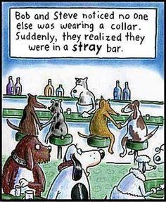 a cartoon with cats and dogs sitting at a bar talking to each other about what's in the bottle