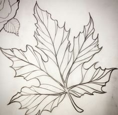 a drawing of a leaf with two leaves on the left and one in the middle