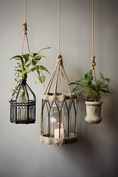 three hanging planters with plants in them on the wall next to a candle holder