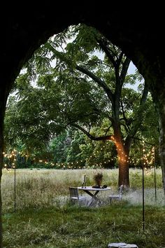 an outdoor dining area is lit up by string lights and surrounded by tall grass with trees in the background