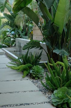 some plants are growing on the side of a building